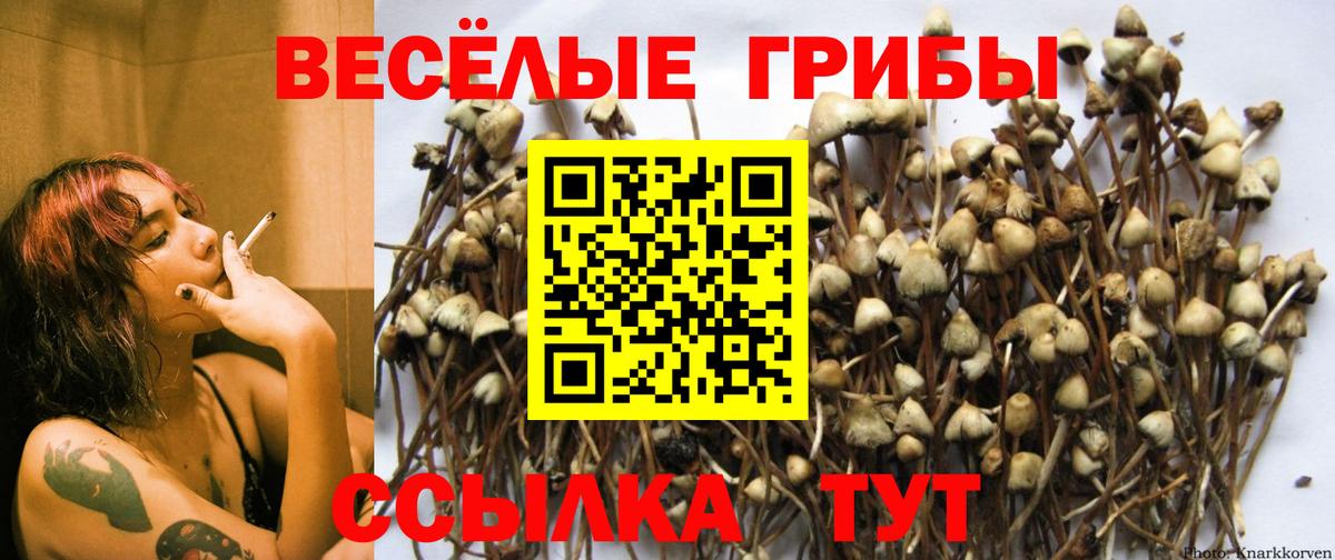Королёв  Галлюциногенные грибы Magic Shrooms  Вход с VPN 